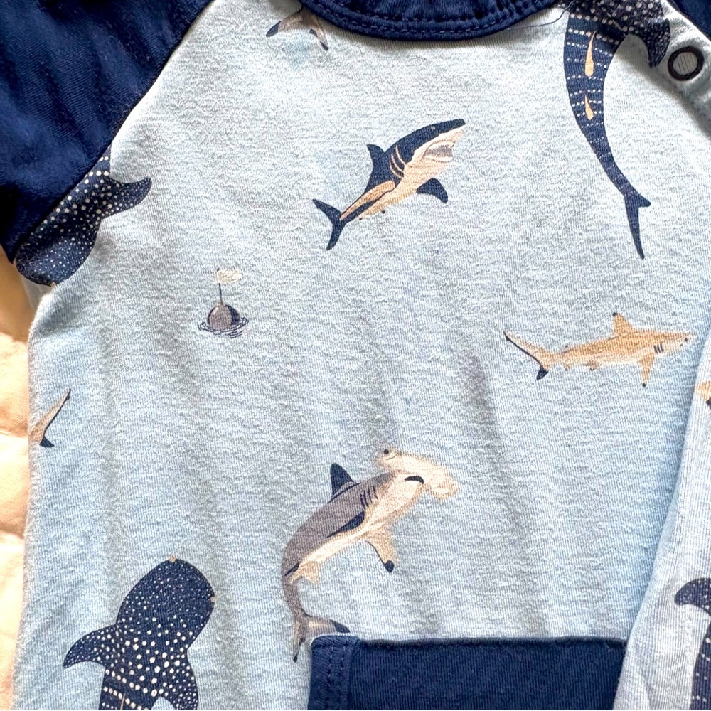 Kyte Baby Stream Shark Toddler 2T Bundle - Picture 2 of 5